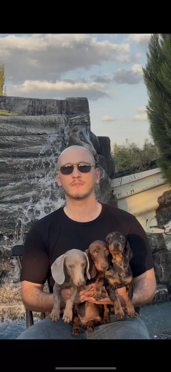 Harika Kalitede Sosis Köpekler Yurtdışından Geldiler