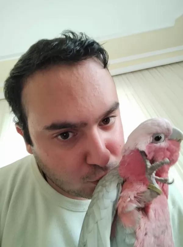 Sağlıklı Gül Kakadu