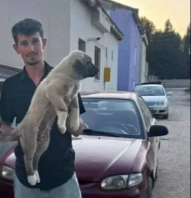 Yurtiçi Yurtdışı Her Ile Ilçeye Gönderim Yapılır