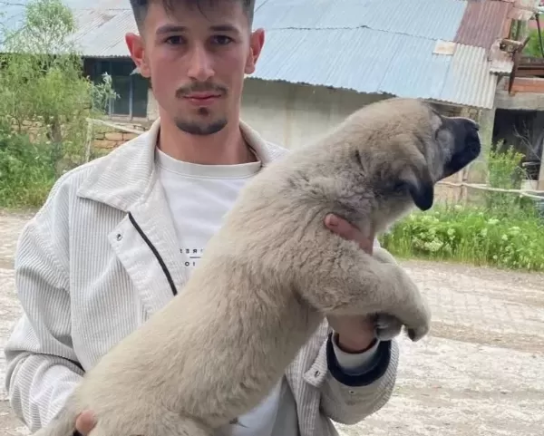 Yurtiçi Yurtdışı Her Ile Ilçeye Gönderim Yapılır