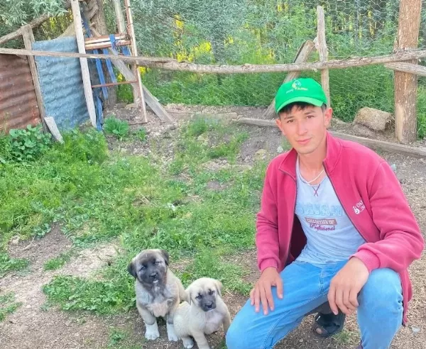 Yurtiçi Yurtdışı Her Ile Ilçeye Gönderim Yapılır