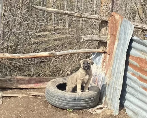 Yurtiçi Yurtdışı Her Ile Ilçeye Gönderim Yapılır