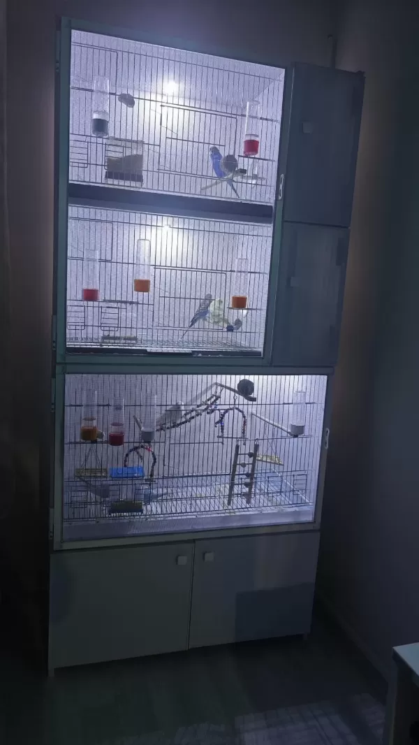Sağlıklı Tertemiz Kuş Dolabı