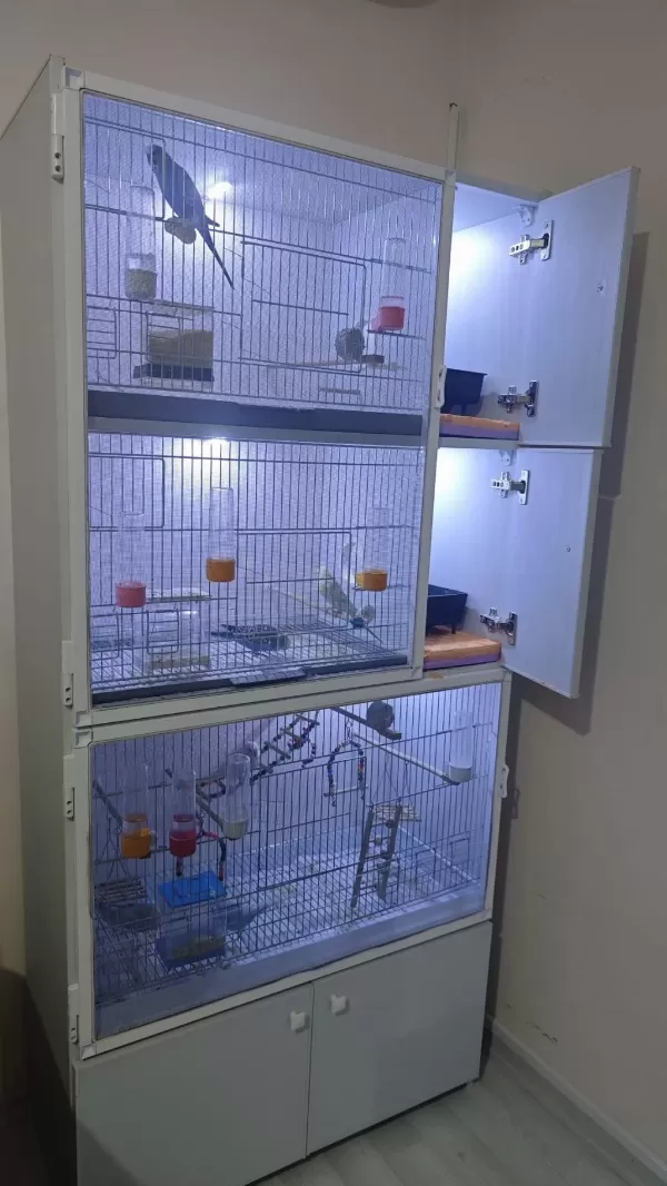Sağlıklı Tertemiz Kuş Dolabı