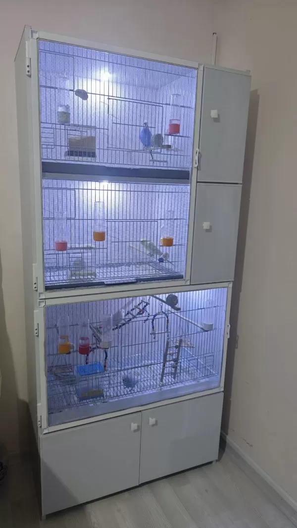 Sağlıklı Tertemiz Kuş Dolabı