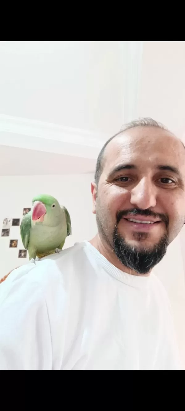Arkadaş Gibi Alexander