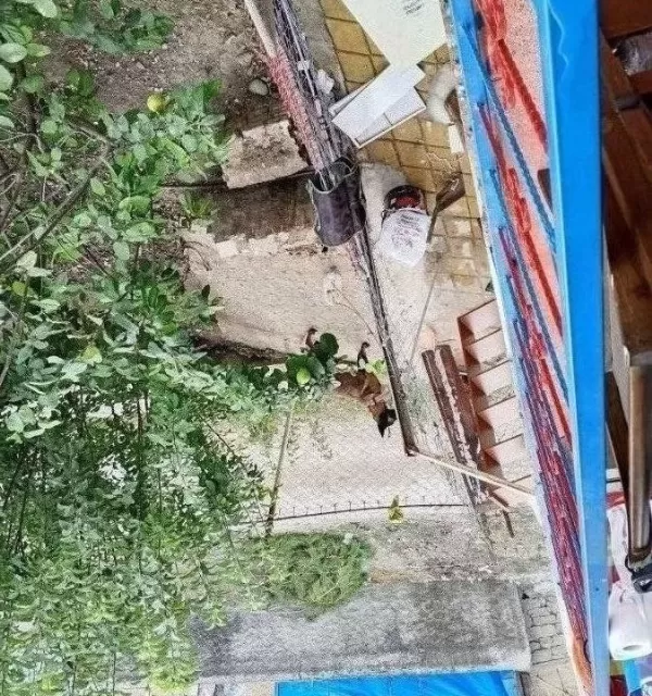 En Güzel Dost En Saf Sevgi