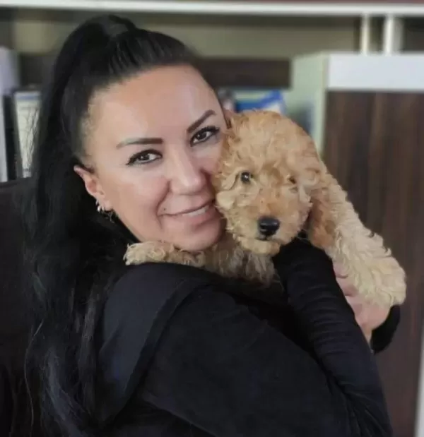 100 Irk Garanti̇li̇ Toy Poodle Yavrular