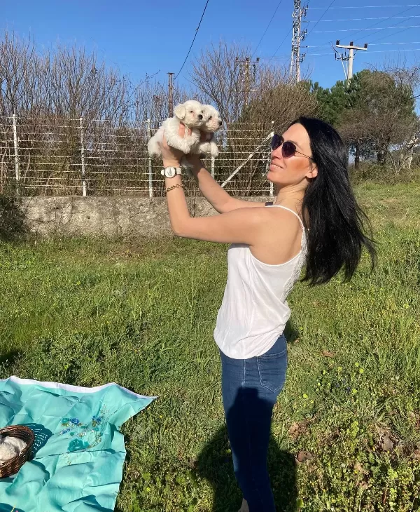 Maltese Yavrularım Sağlık Ve Irk Garantilidir