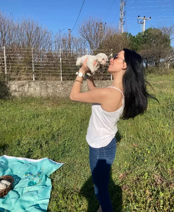 Maltese Yavrularım Sağlık Ve Irk Garantilidir