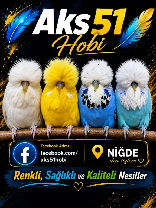Soy Vasıf Renk Kalite Hepsi Bir Arada Muhabbet Kuşlar