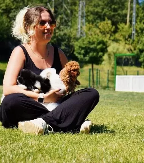 Hari Ka Poodle Yavrulari Si Zleri Bekli Yor