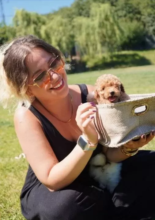 Hari Ka Poodle Yavrulari Si Zleri Bekli Yor