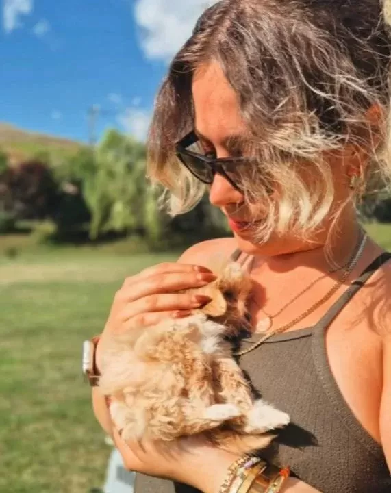 Türki̇yeni̇n En Özel Malti̇poo Yavrulari̇ Si̇zleri̇ Bekli̇yor