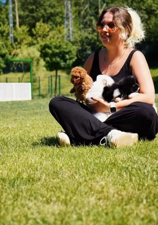 Bi R Bi Ri Nden Güzel Teacup Poodle Yavrulari