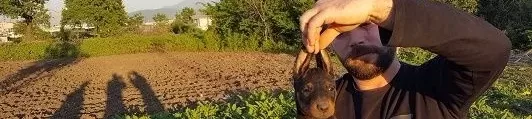 Irk Garanti̇li̇ Doberman Yavrulari