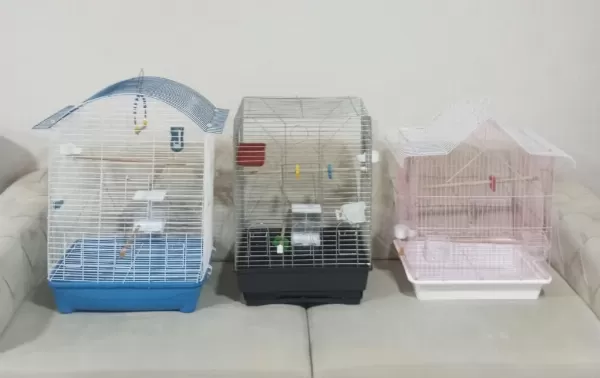 Takasa Açik Kafes Çeşitleri