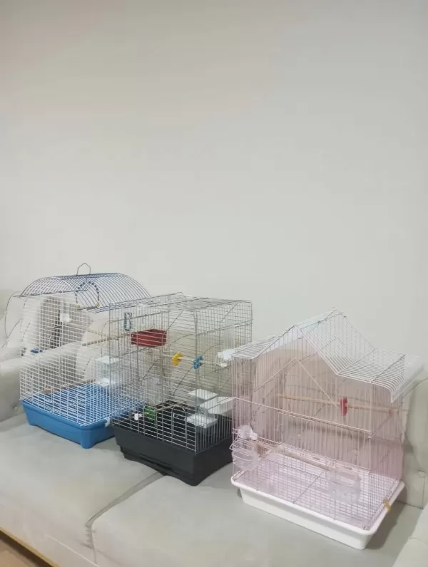 Takasa Açik Kafes Çeşitleri