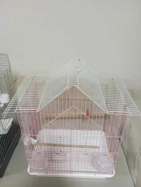 Takasa Açik Kafes Çeşitleri