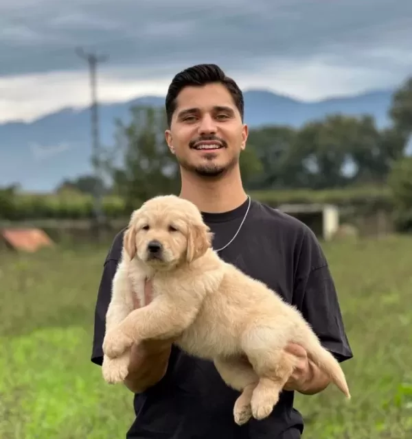 Hari̇ka Muhteşem Golden Bebek