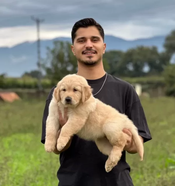 Hari̇ka Muhteşem Golden Bebek