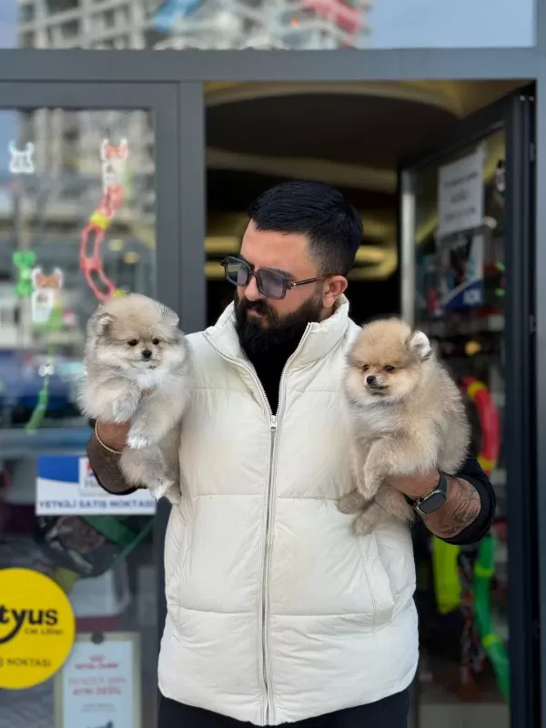 Ankaranın Tek Pet Danışmanlığı
