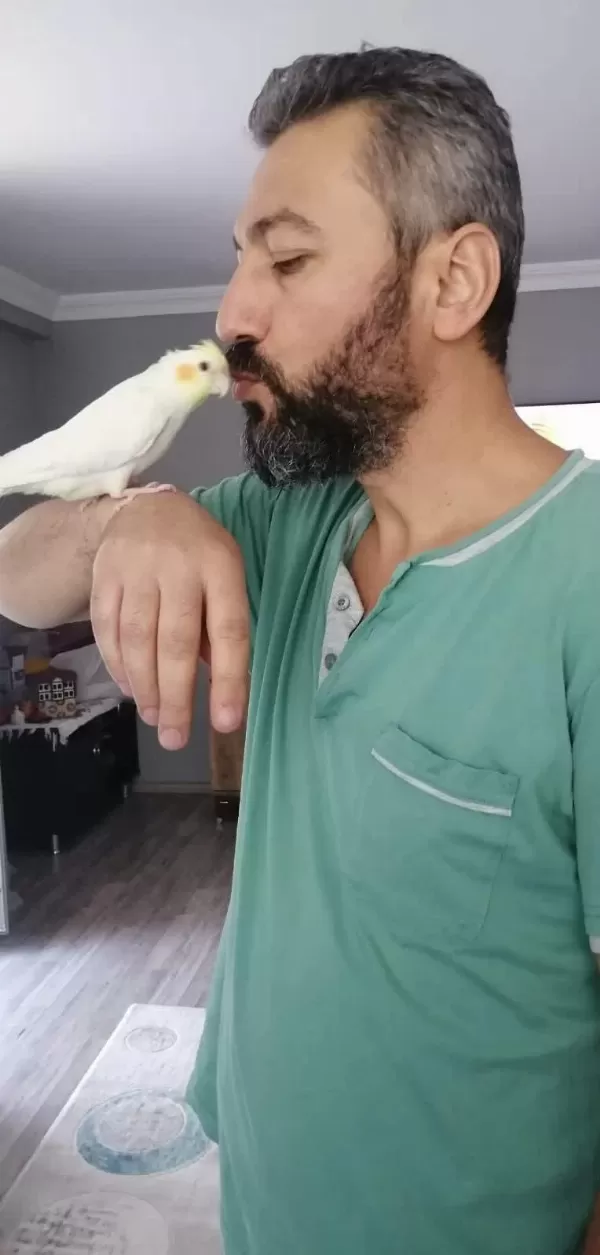 Alışkın Sultan Papağanımız