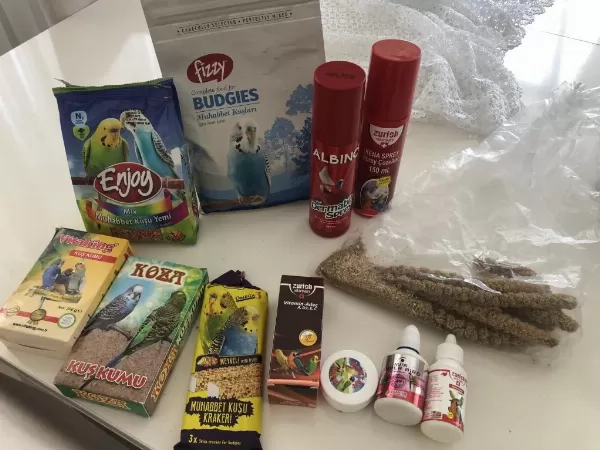 Yavru Erkek Eşyalari İle Satilik Muhabbet Kuşu