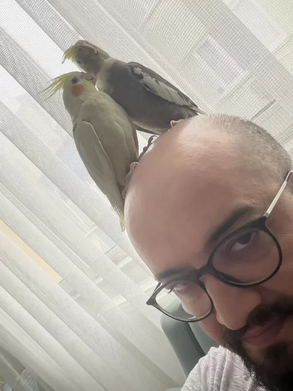 Yavru Ve Anne Baba Çifti Sultan Papağani