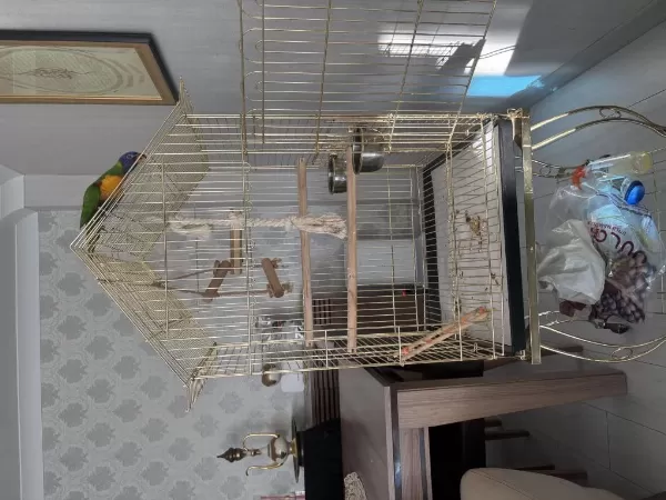 Harika El Beslene Lori