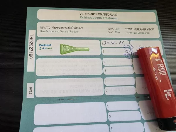 Dev Rottweiler Yavrusu Erkek