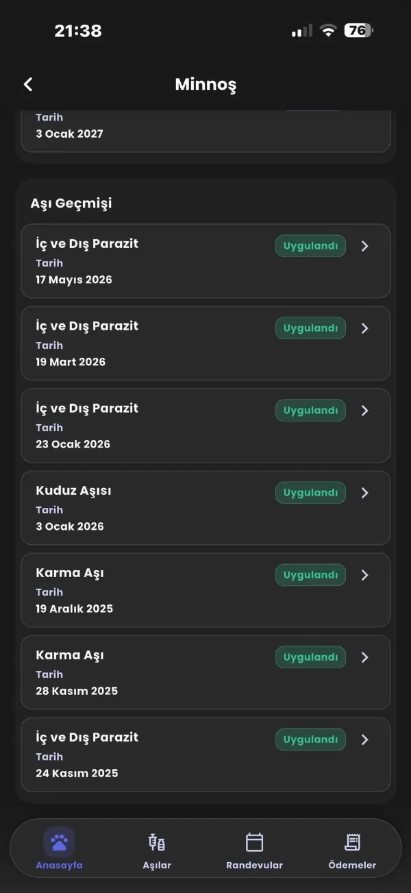 Oyuncu Kedimiz Yeni Yuvasini Ariyor