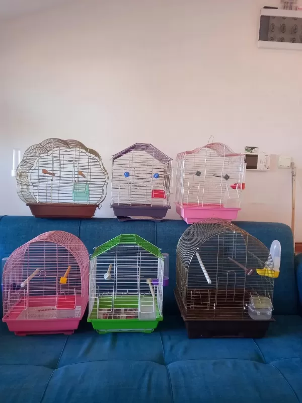 6 Adet Temiz Orta Boy Kafesler 2 Muhabbet Kuşuna Takas Olur