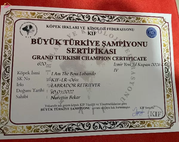 Secereli Grant Sampiyon Yavruları