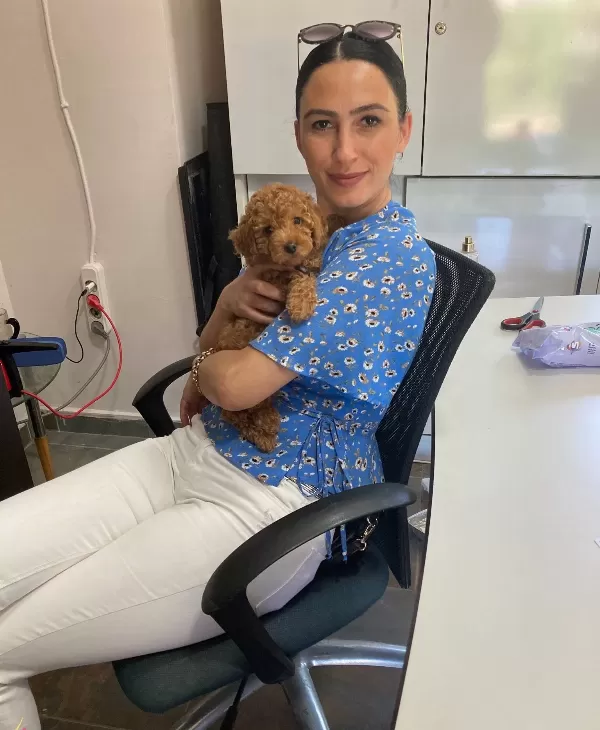 Toy Poddle Yavrularım Sağlık Ve Irk Garantilidir