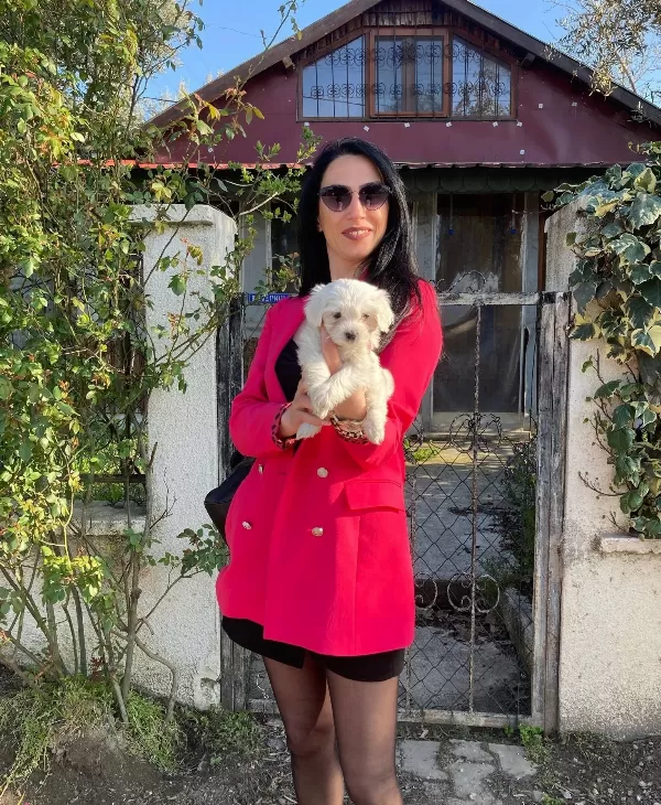 Maltese Sıfır No Yavrularım Sağlık Ve Irk Garantilidir