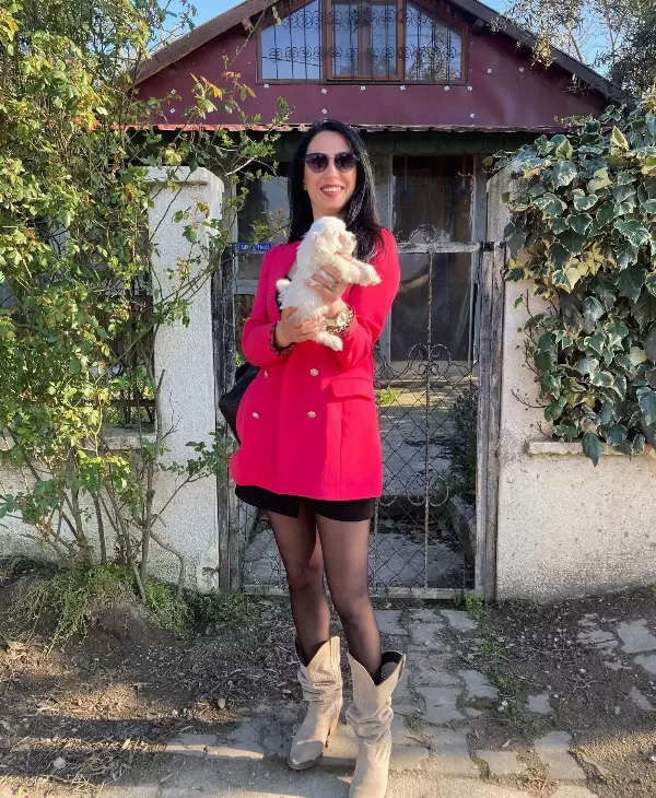 Maltese Sıfır No Yavrularım Sağlık Ve Irk Garantilidir
