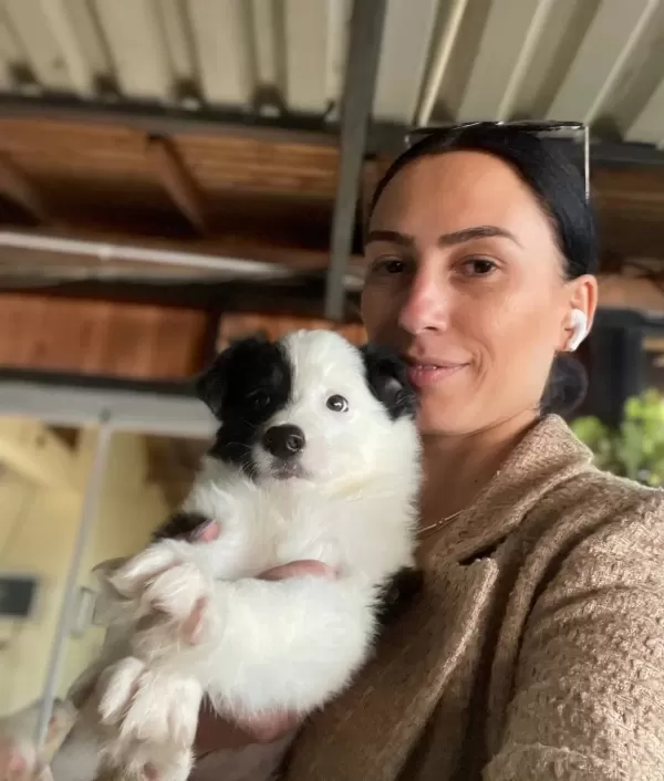 Border Colie Yavrularım Sağlık Ve Irk Garantilidir
