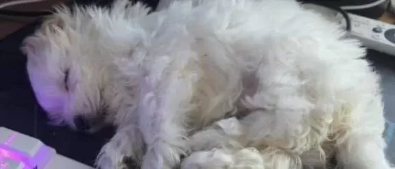 Ev Ortamında Sevgiyle Buyuyen 2 Aylık
