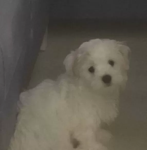 Ev Ortamında Sevgiyle Buyuyen 2 Aylık