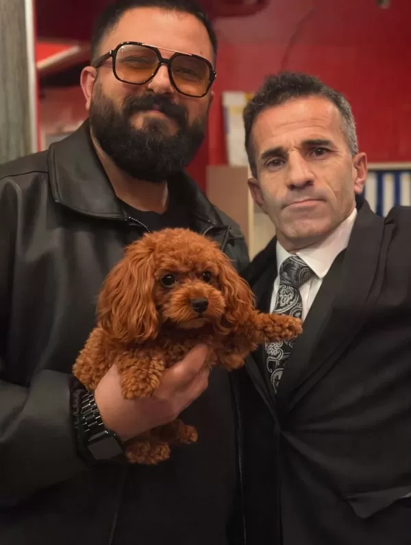 Sosyal Ortamların Yıldızı Toy Poodle Yavrusu