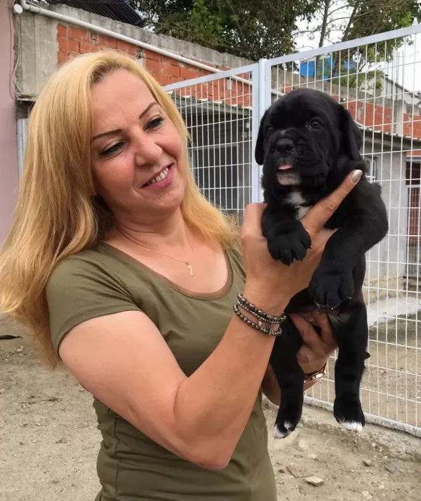Koca Kafa Muhteşem Cane Corso Yavrularımız