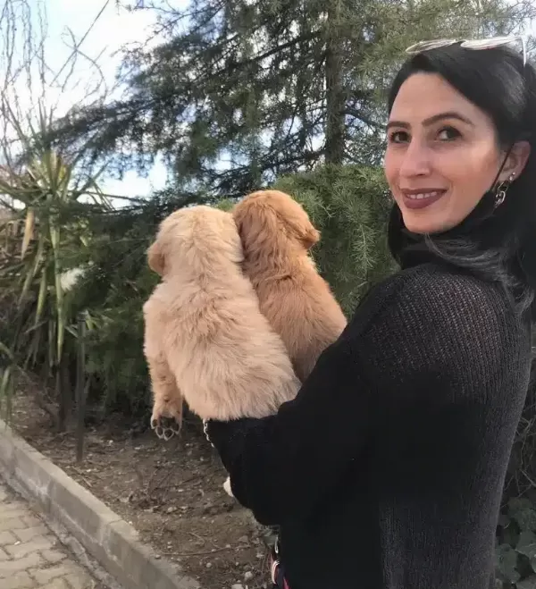 Golden Yavrularım Sağlık Ve Irk Garantilidir