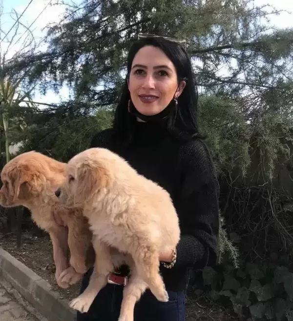 Golden Yavrularım Sağlık Ve Irk Garantilidir