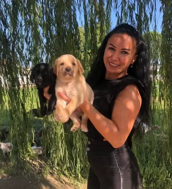 Irk Garantili Labrador Retriever Yavrularımız