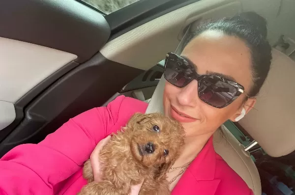Toy Poddle Ev Uretimi Yavrum Sağlık Ve Irk Garantilidir