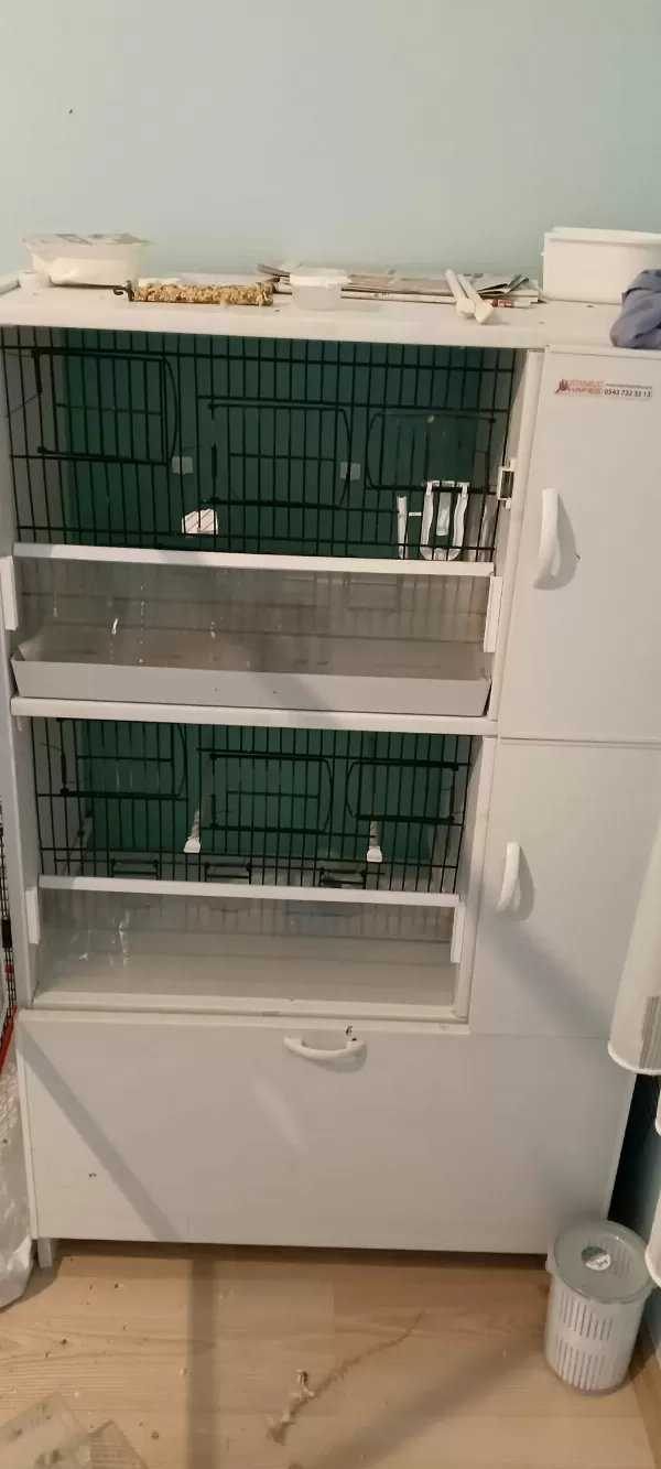 Pvc Kafes Ve Malzemeler İle Birlikte Sultan Papağanı