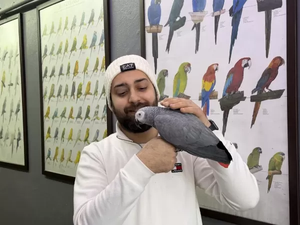 100 Kelime Konuşan Dans Eden Jako Papağani