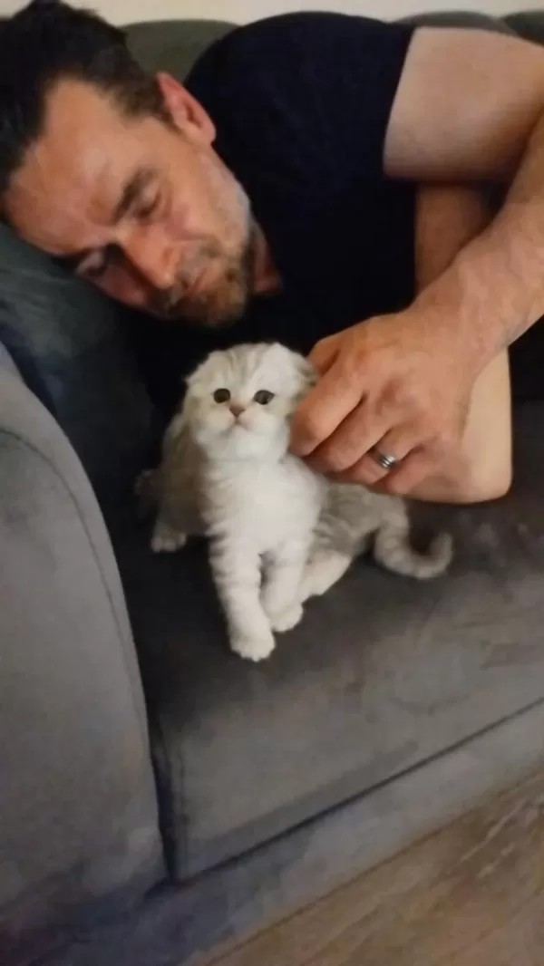 Cici Oğlumuz Erkek Kedimiz