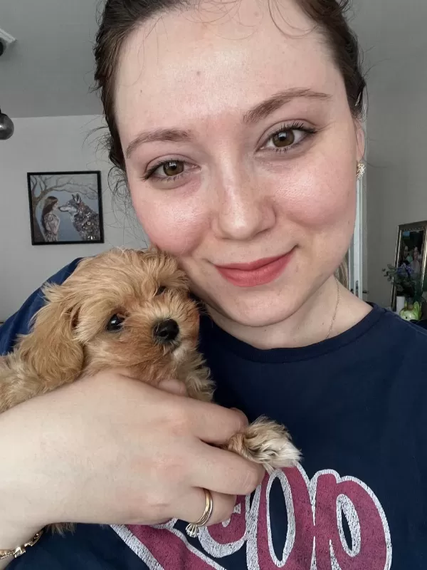 Evde Büyüyen Bebek Yüzlü Maltipoo Kızım